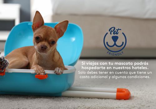 Admite mascotas Hotel ESTELAR En Alto Prado Barranquilla
